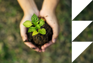 Beyond Aesthetics: 8 Regenerative Principles for Interior Design