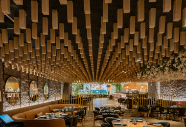 Trisoft’s Art of Sustainable Acoustic Design