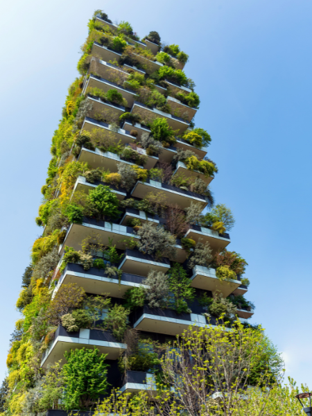 Nature as a design principle: why biophilic design is becoming a MENA specification standard