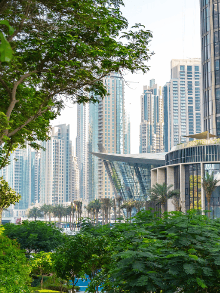 Biophilia in Dubai